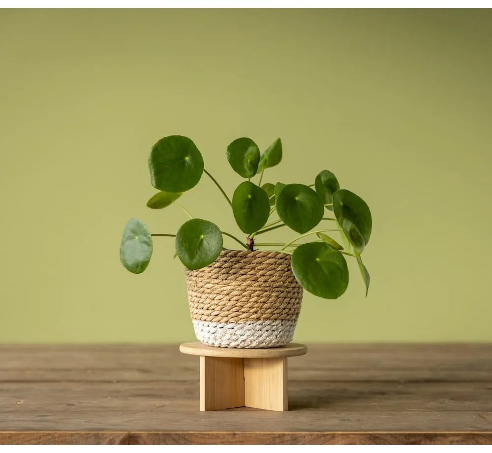 Bambusový stojan na kvety ø 18 cm – Esschert Design