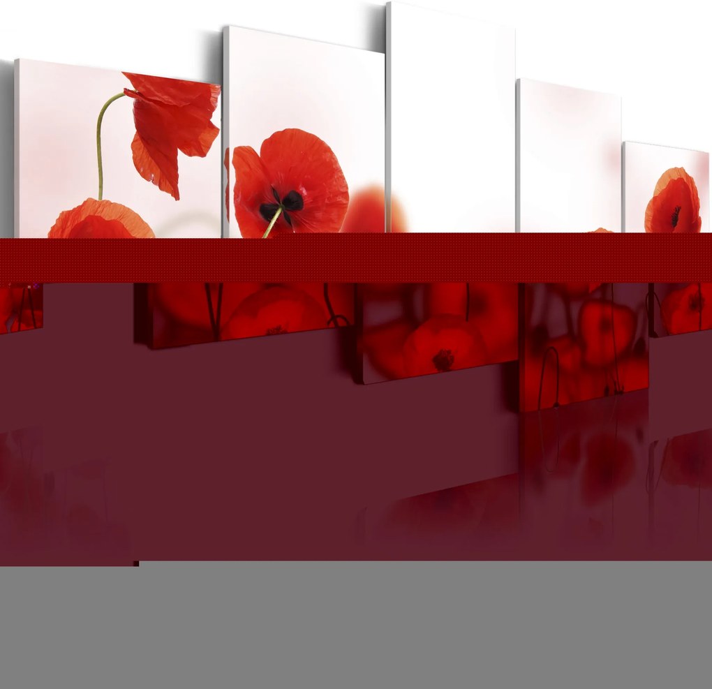 Obraz - Poppies- red circles 100x50