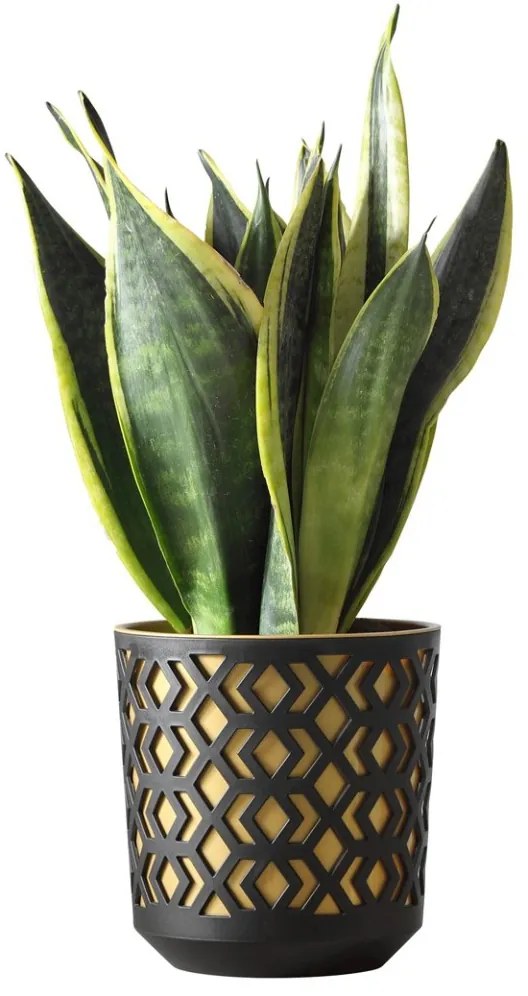 Kvetináč etnický 25x27 cm čierno-zlatý