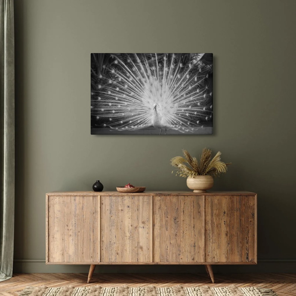 Obraz - Biely páv (90x60 cm)