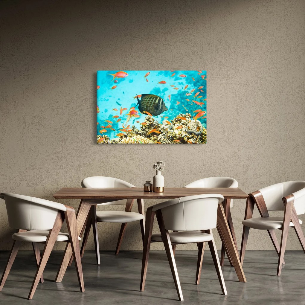 Obraz podmorského sveta (90x60 cm)