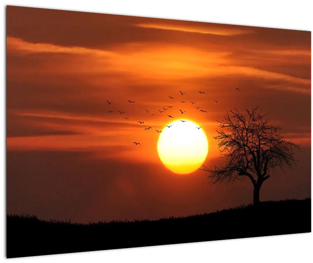 Obraz - Západ slnka (90x60 cm)