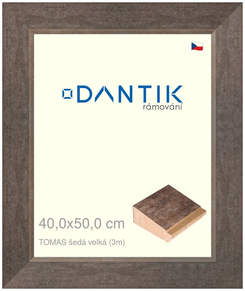 DANTIK rám na obraz 40x50 | TOMAS šedá velká (Plexi Čiré)