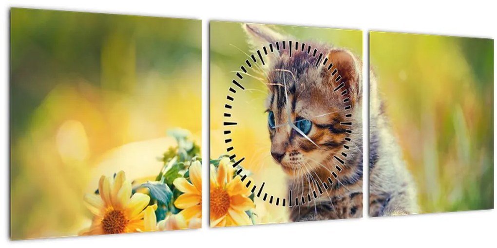 Obraz mačiatka pozerajúce sa na kvetinu (s hodinami) (90x30 cm)