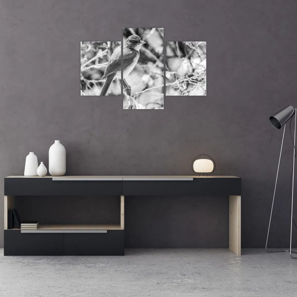 Obraz - Modrý vták v zime (90x60 cm)