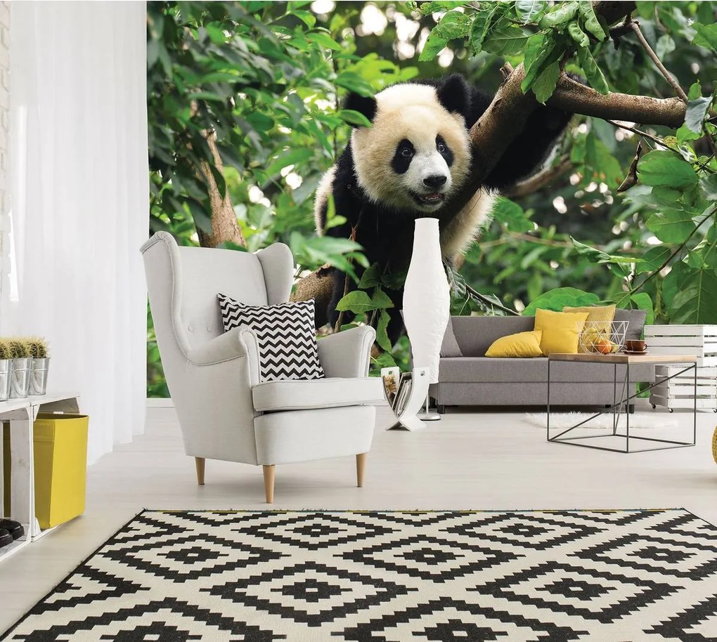 Fototapeta - Panda na strome (152,5x104 cm)