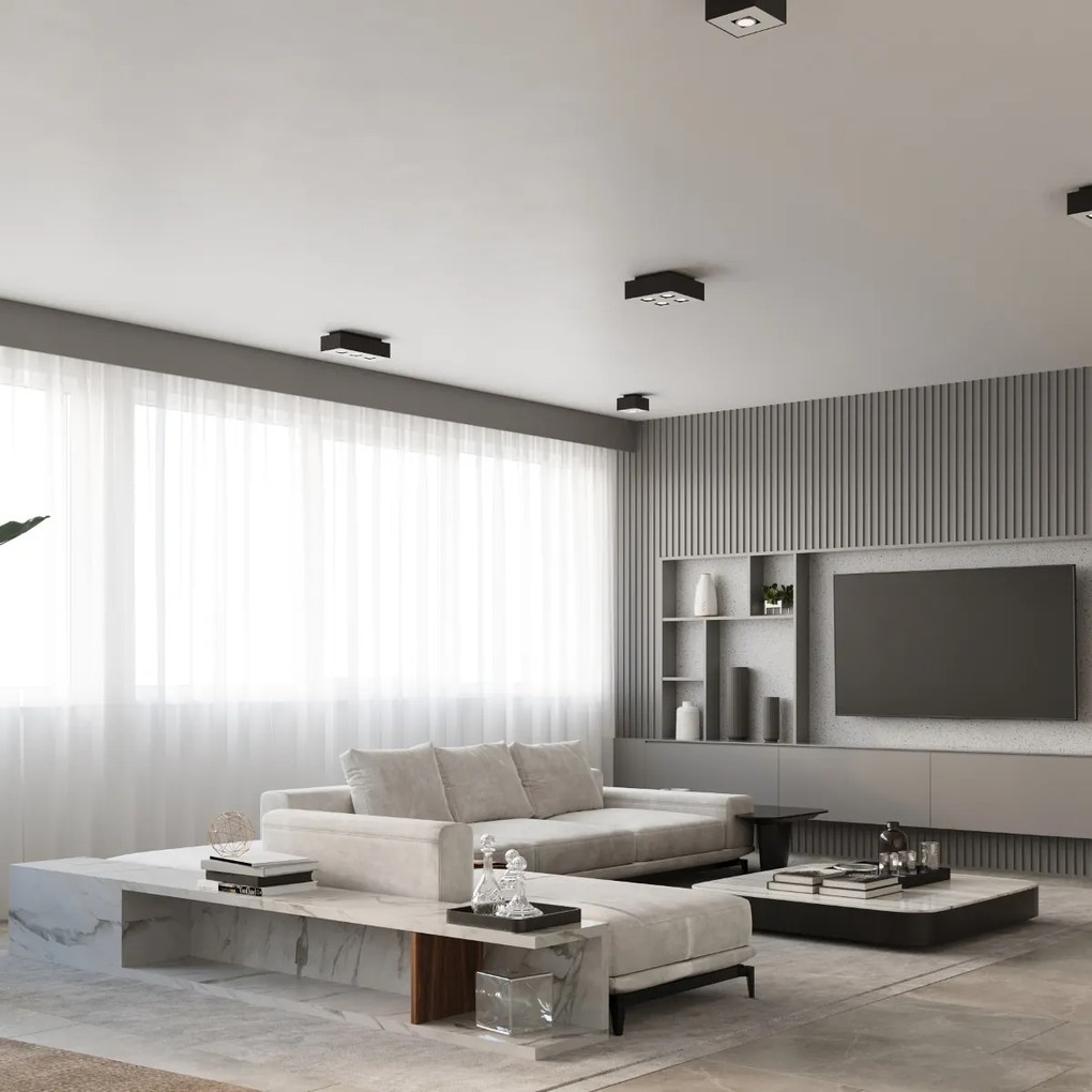 Stropné svietidlo Mono 4, 1x čierne/biele kovové tienidlo