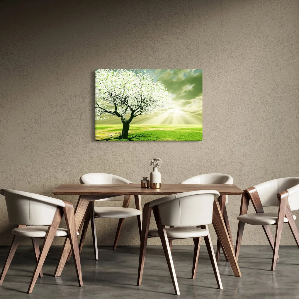 Obraz stromu na lúke (90x60 cm)
