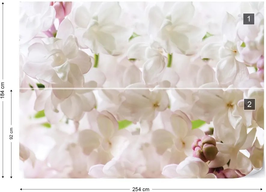 GLIX Fototapeta - White Flowers Vliesová tapeta  - 254x184 cm