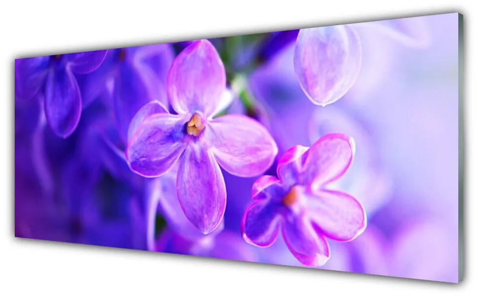 Obraz plexi Fialové kvety príroda 125x50 cm