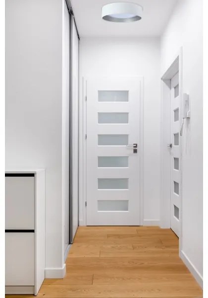 LED Stropné svietidlo GALAXY LED/24W/230V biela/strieborná