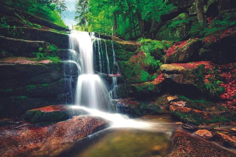 Samolepiaca fototapeta krásny lesný vodopád