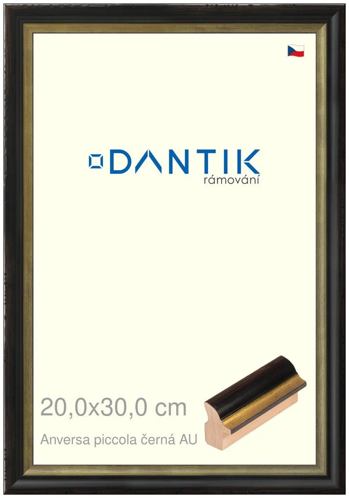 DANTIK rám na obraz 20x30 | ANIVERSA piccola černá AU (Sklo Čiré)