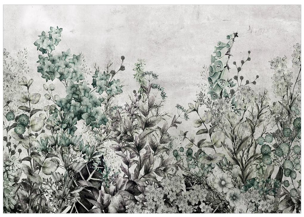 Artgeist Fototapeta - Mystery of Herbs Veľkosť: 150x105, Verzia: Standard