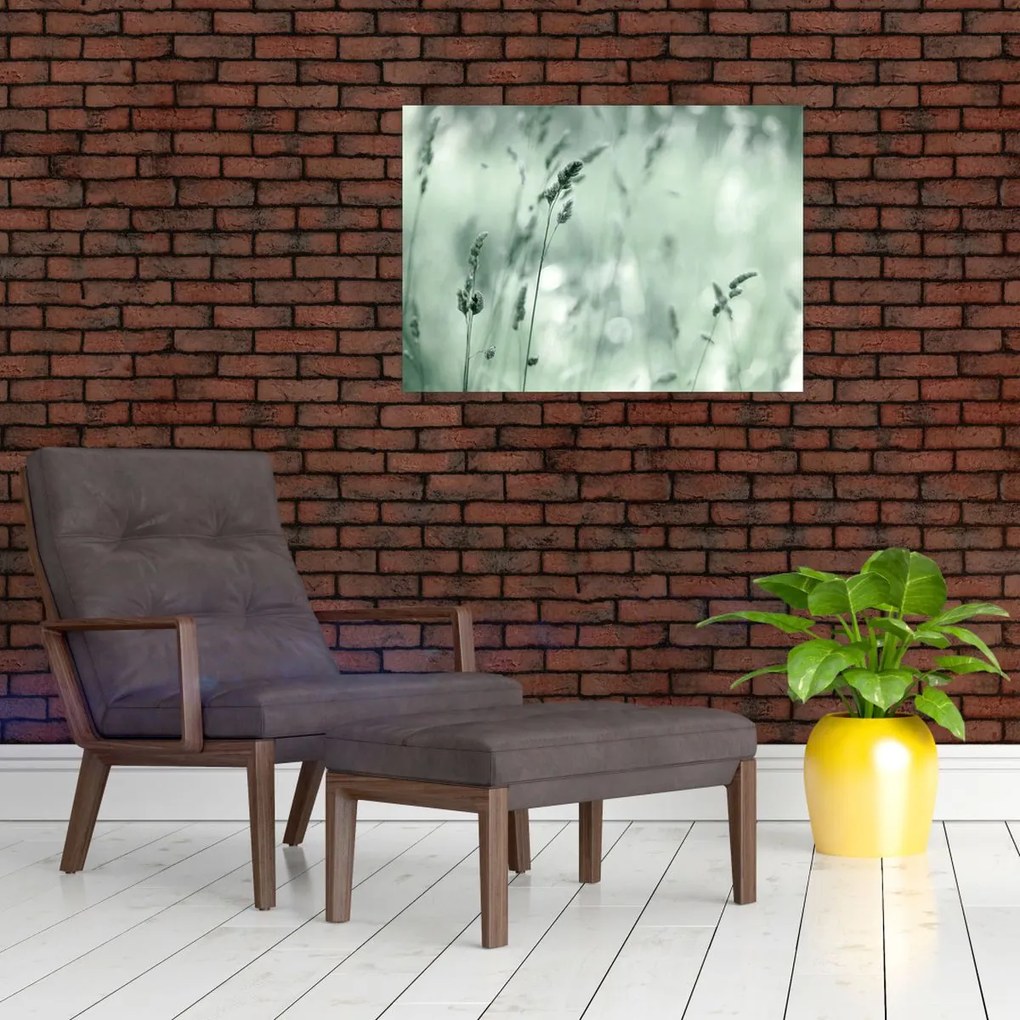 Sklenený obraz - Zelená lúka (70x50 cm)