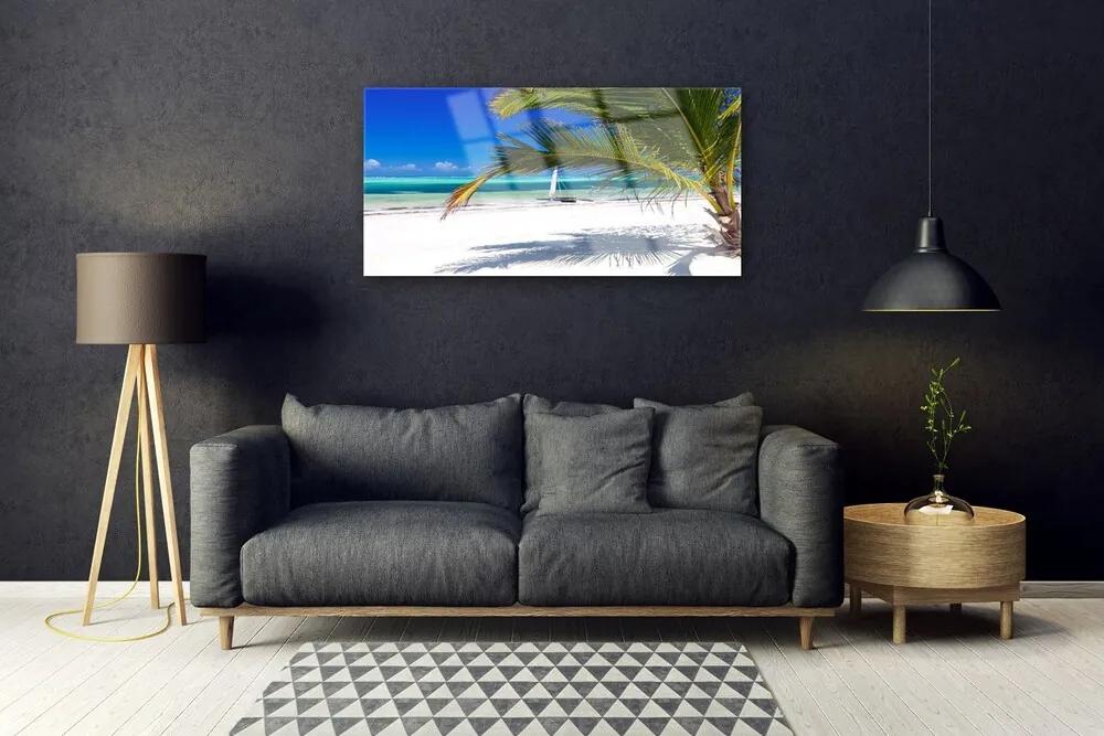Skleneny obraz Pláž palma príroda 120x60 cm