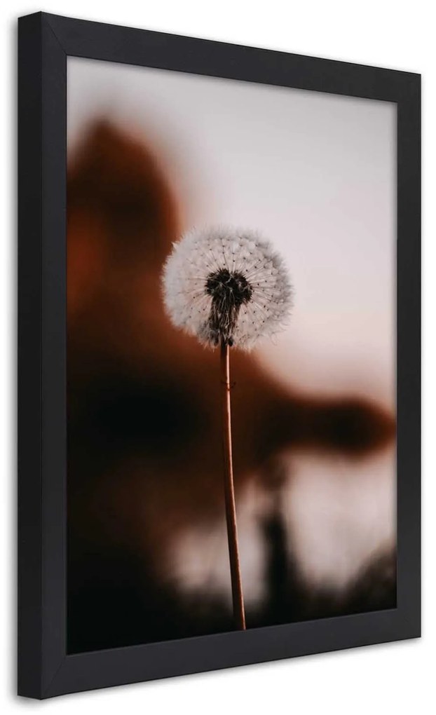 Gario Plagát Osamelá rybka Farba rámu: Bez rámu, Rozmery: 40 x 60 cm