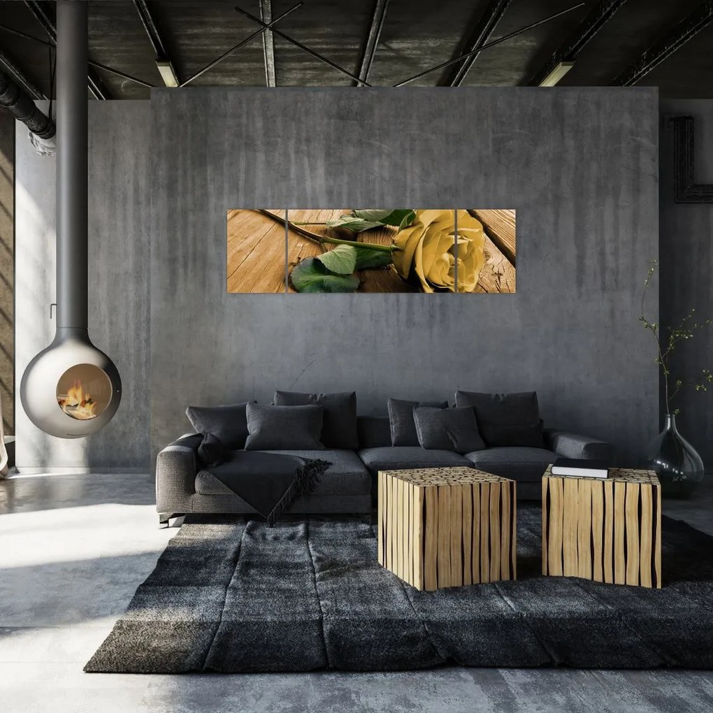 Obrazy kvetov - ruža