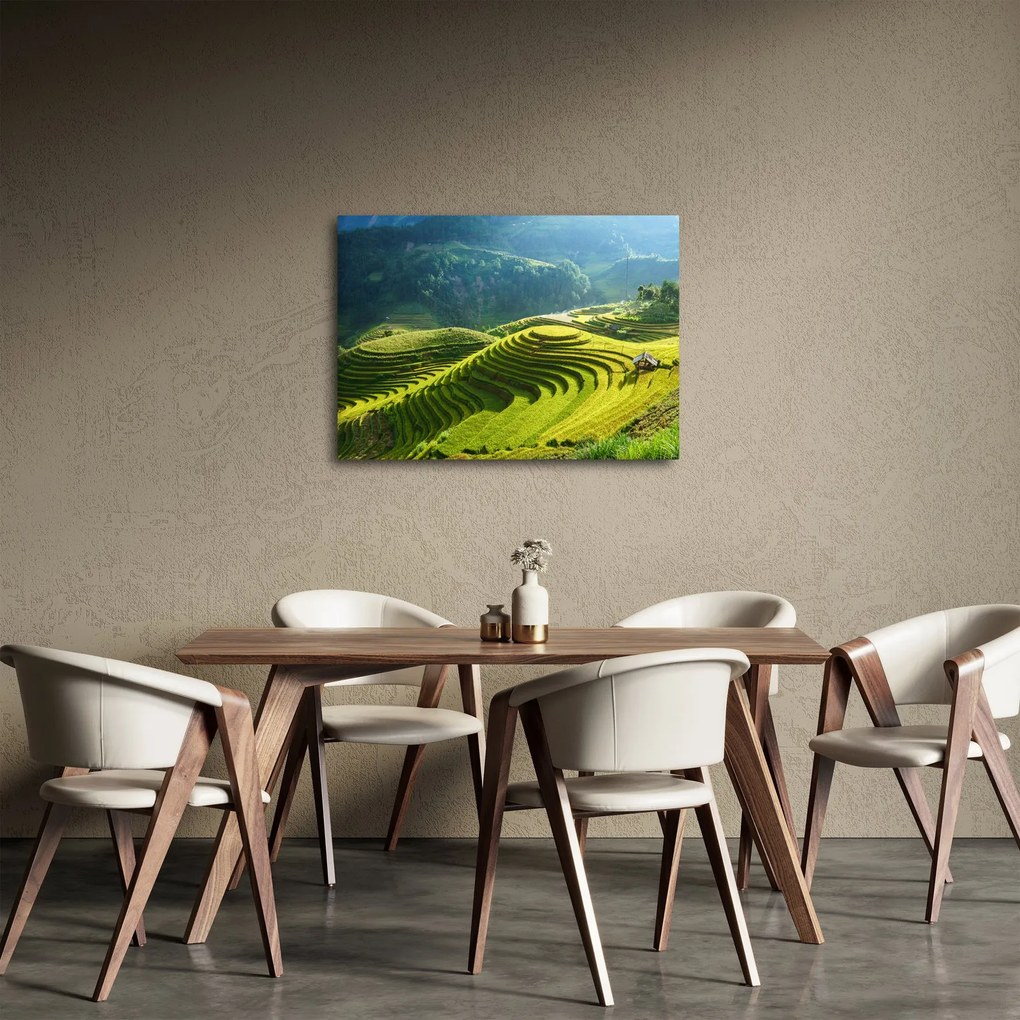 Obraz - Koncert ryžových terás (70x50 cm)