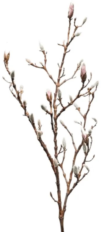 Magnolia W. bud lt. pink v.100cm