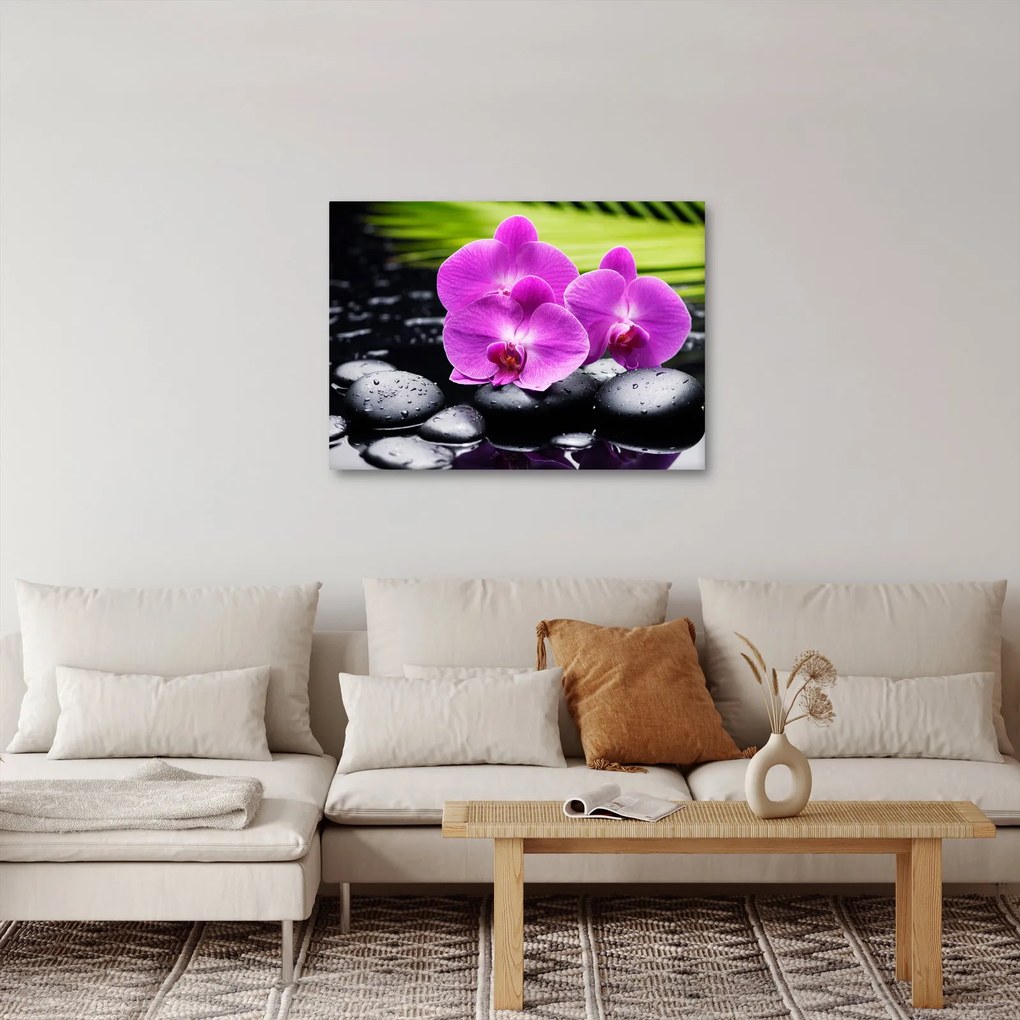 Obraz - Orchidey (70x50 cm)