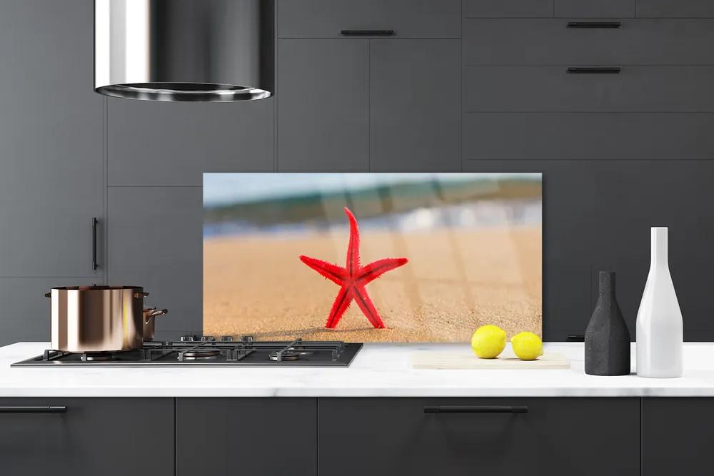 Nástenný panel  Pláž hviezdice umenie 140x70 cm