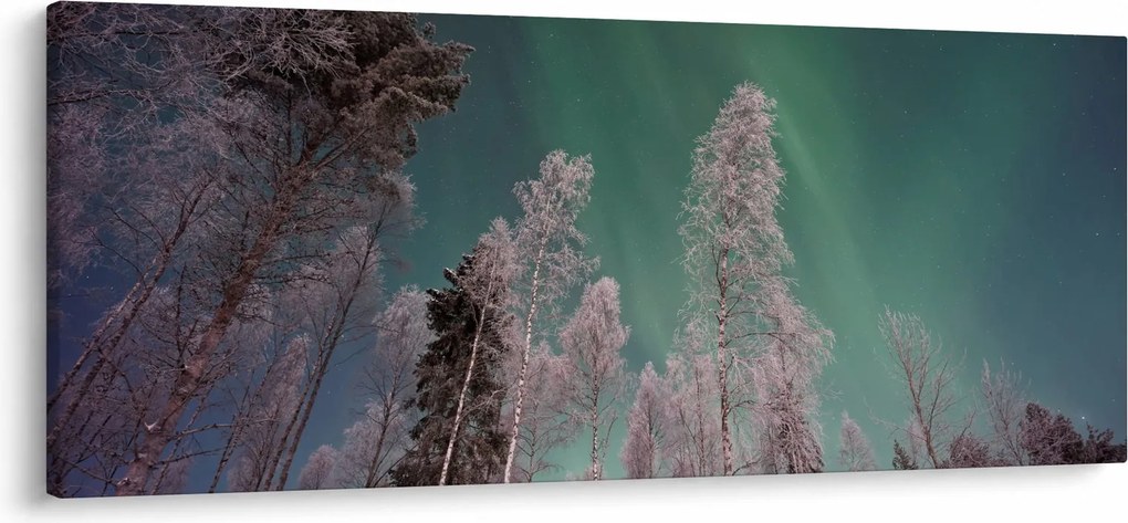 Obraz polárna žiara nad zamrznutými stromami (120x50 cm)