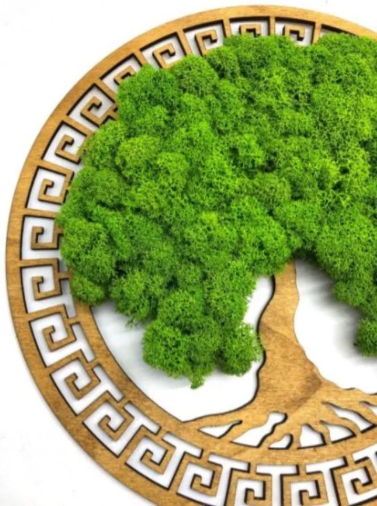 Strom na stenu z machu Hermiona 30 cm