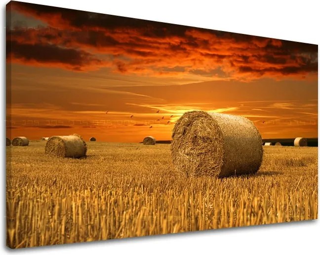 Obraz na stenu KRAJINA