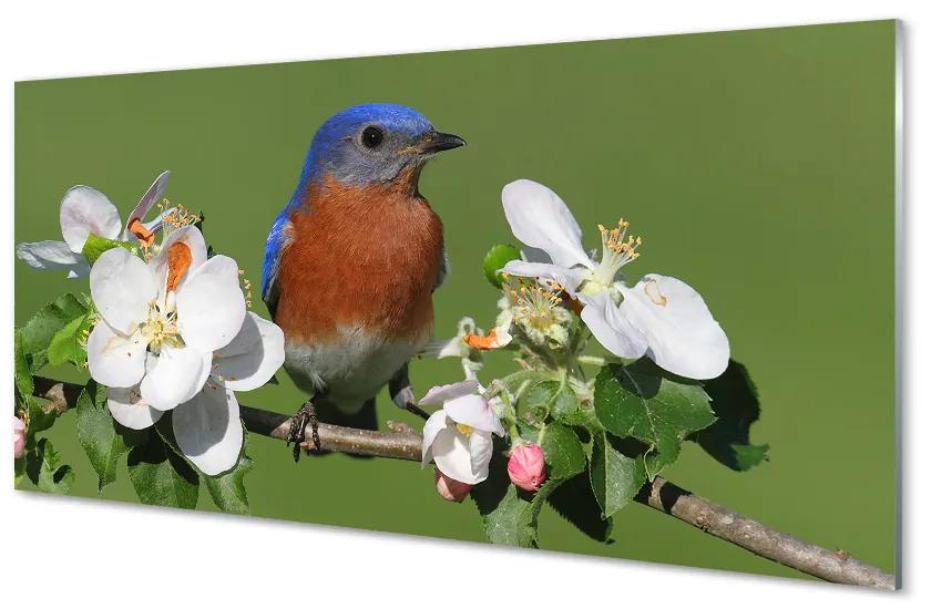Nástenný panel  Kvety farebné papagáj 140x70 cm