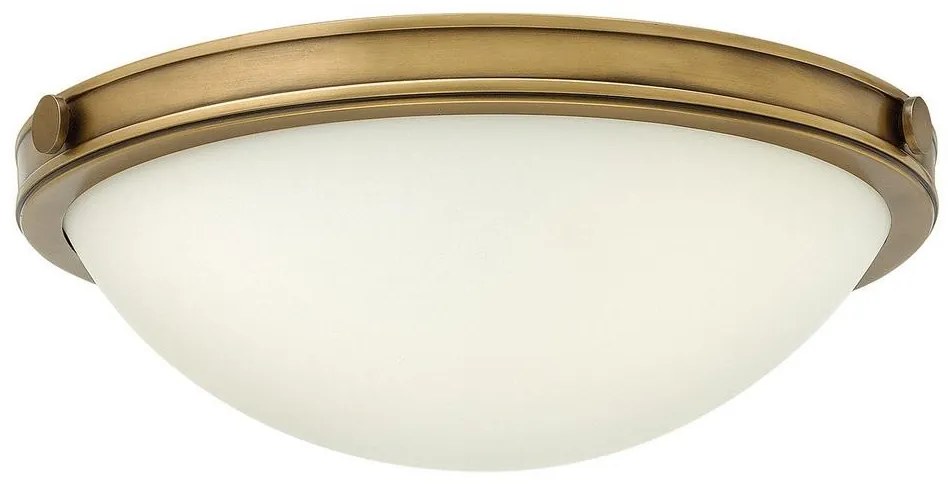 Hinkley - Stropné svietidlo COLLIER 2xE27/40W/230V