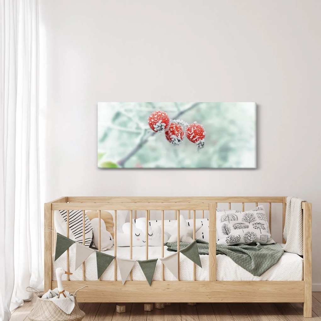 Obraz zmrznutých šípok (120x50 cm)