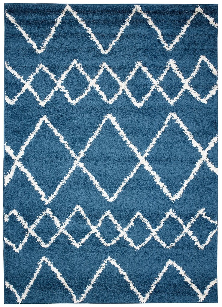 Dizajnový koberec NEPTUNE - SHAGGY ROZMERY: 60x100