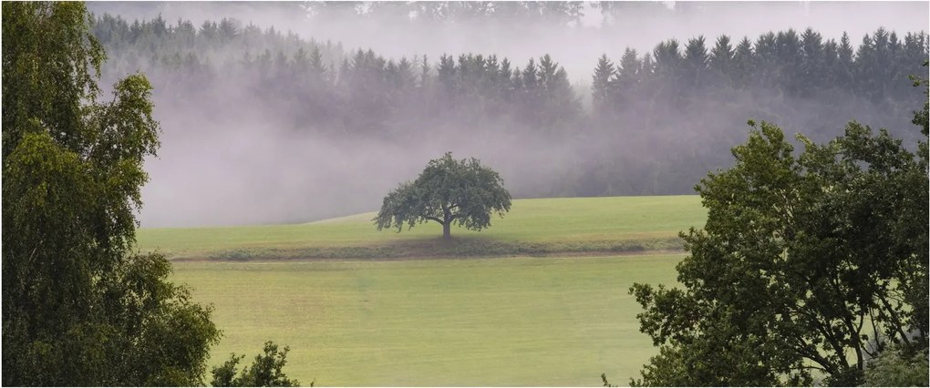 Obraz lúky so stromom (120x50 cm)