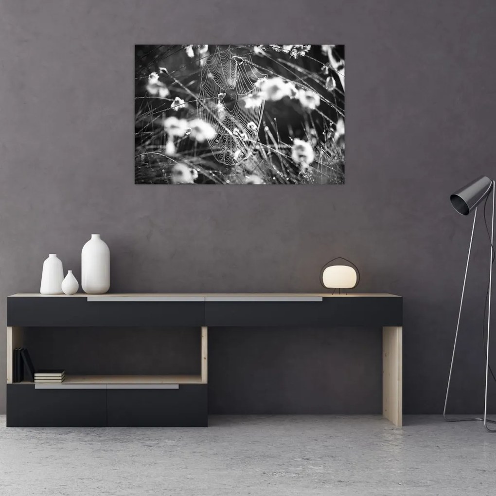 Obraz - Pavučina na lúke (90x60 cm)