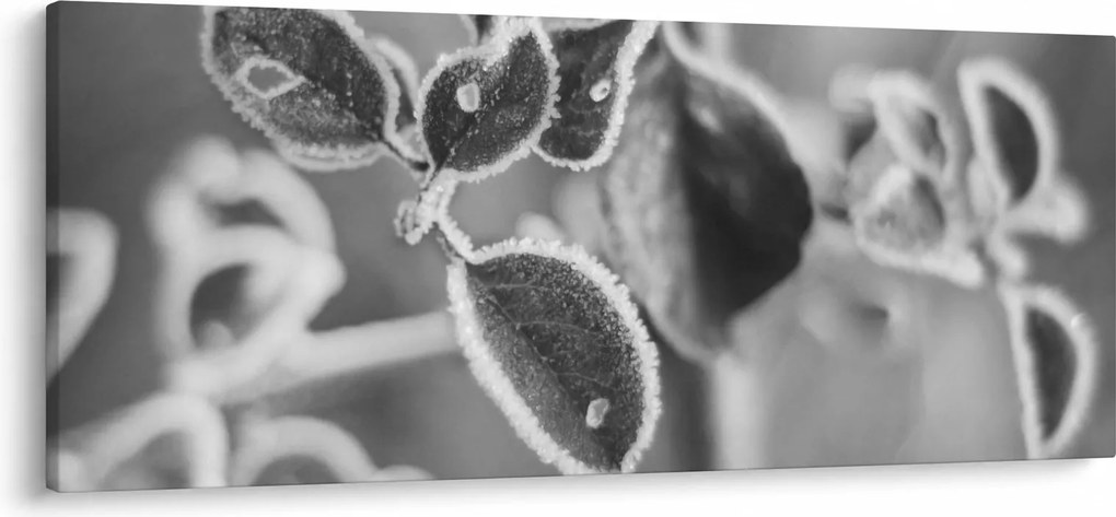 Obraz - Príroda na jeseň (120x50 cm)
