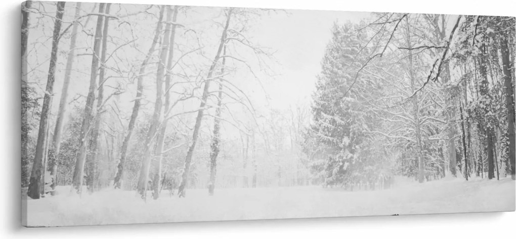 Obraz - Drevené mólo v zime (120x50 cm)