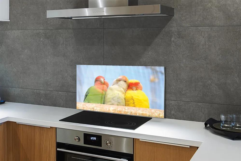 Nástenný panel  farebný papagáj 120x60 cm