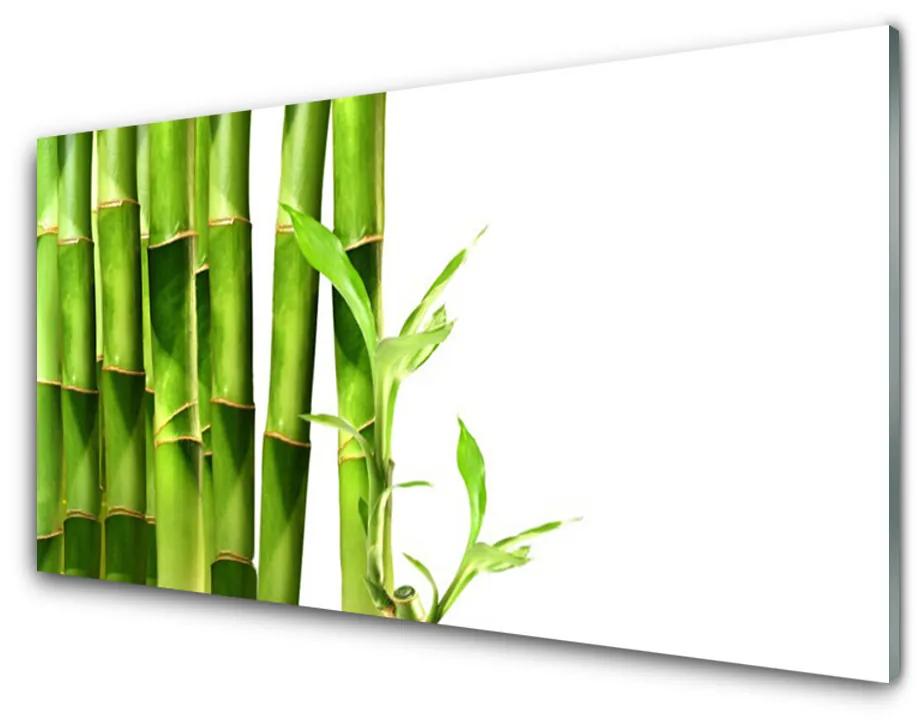 Obraz na akrylátovom skle Bambus rastlina 125x50 cm