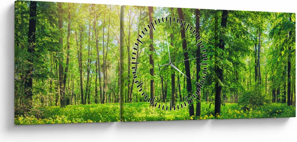 Obraz - Jarný listnatý les (s hodinami) (90x30 cm)