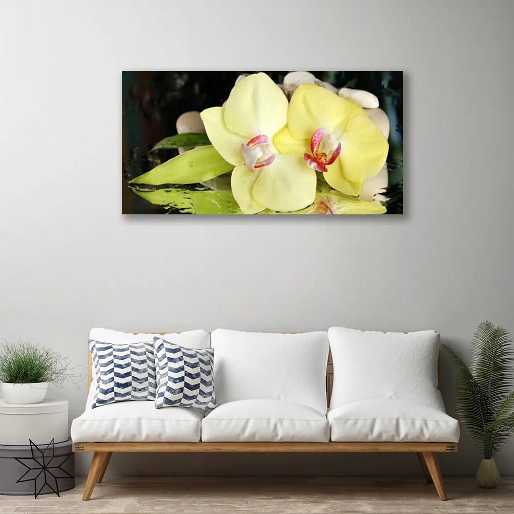 Obraz Canvas Okvetné plátky orchidea 125x50 cm