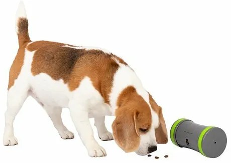 PetSafe® Kibble Chase™ Elektronická hračka pre psov
