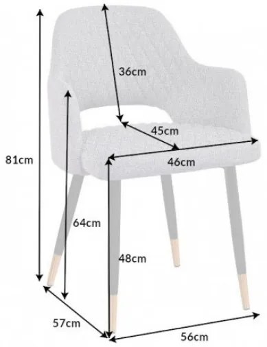 Dizajnová stolička Laney svetlosivá