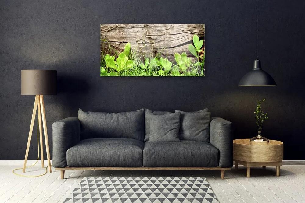 Skleneny obraz Tráva listy kvety 100x50 cm