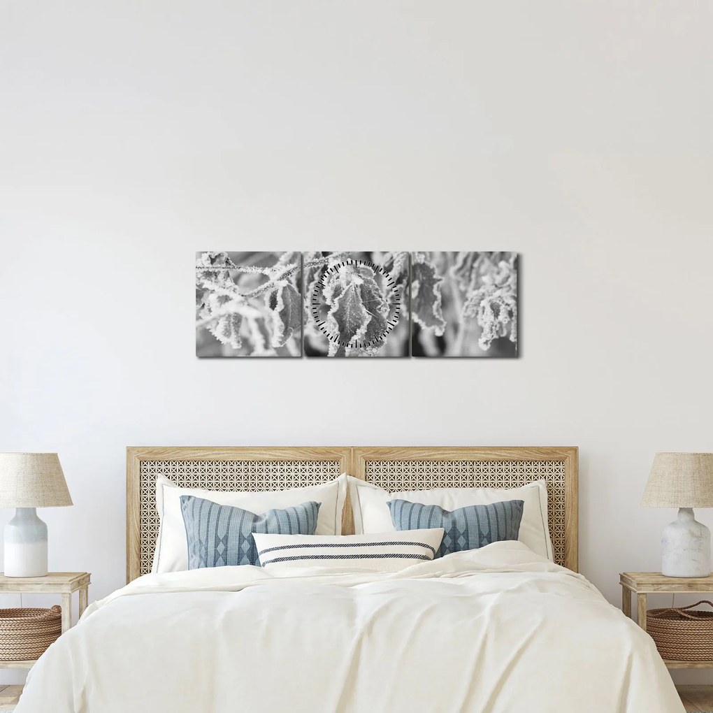Obraz - Zmrznuté listy, čiernobiela (s hodinami) (90x30 cm)