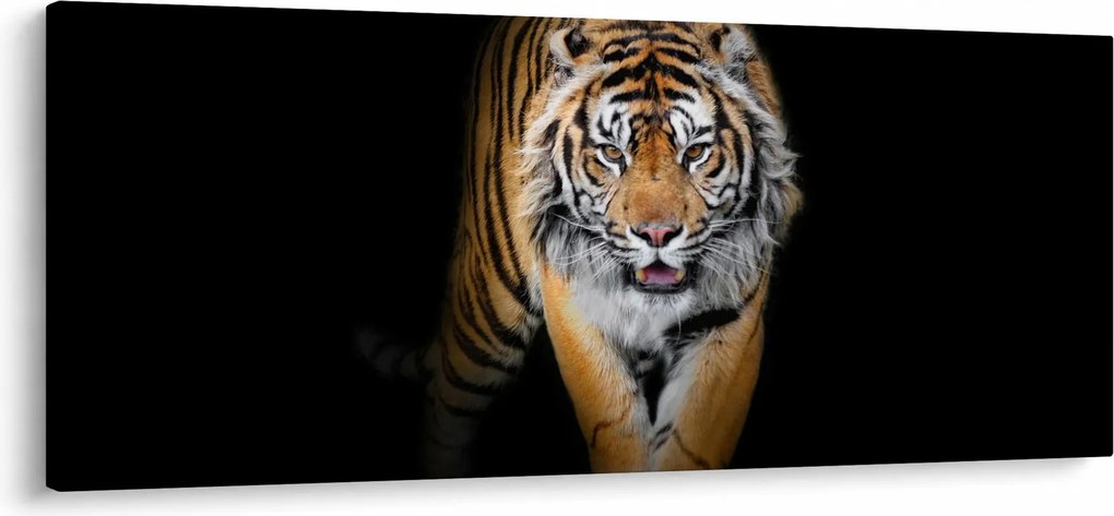 Obraz - Tiger (120x50 cm)