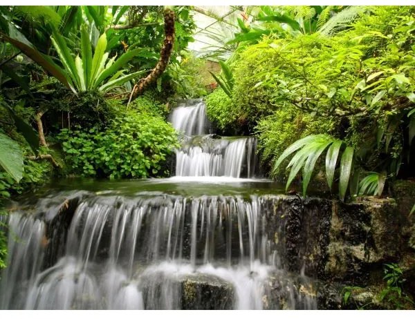 Fototapeta, Vodopády, 315 x232cm