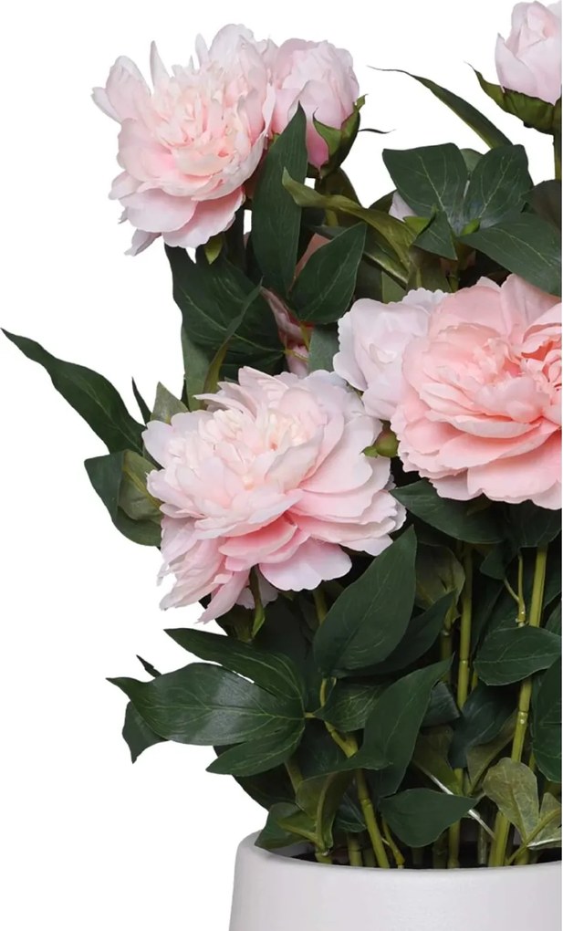 Umelá pivonka v krémovom kvetináči PEONY, výška 70 cm, ružová