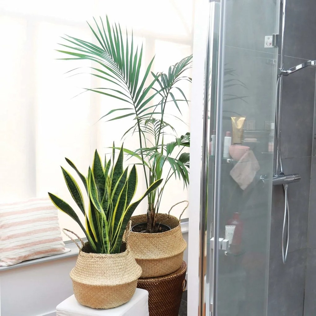 Compactor Pletený úložný košík z morskej trávy Belly, 35 x 32 cm, prírodná, M