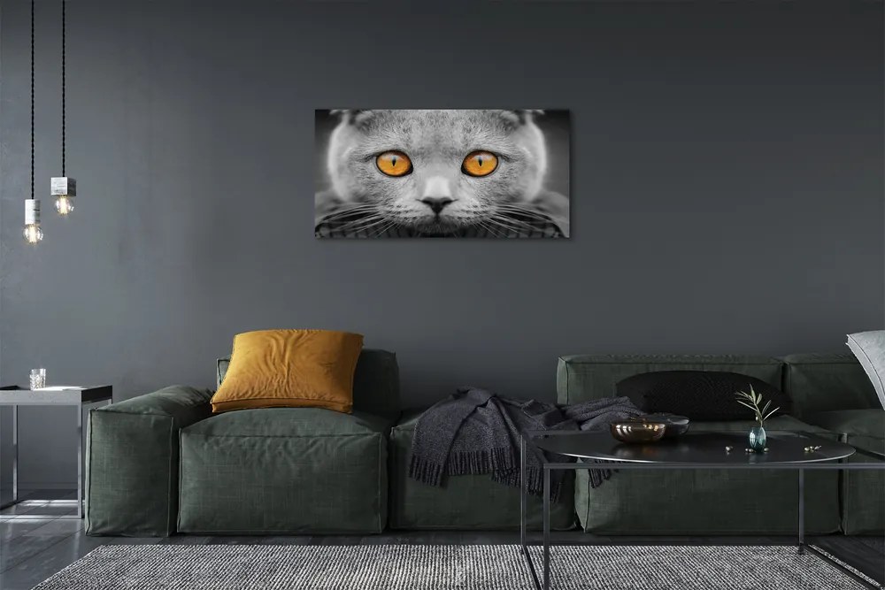 Obraz na plátne Sivá Britská mačka 100x50 cm